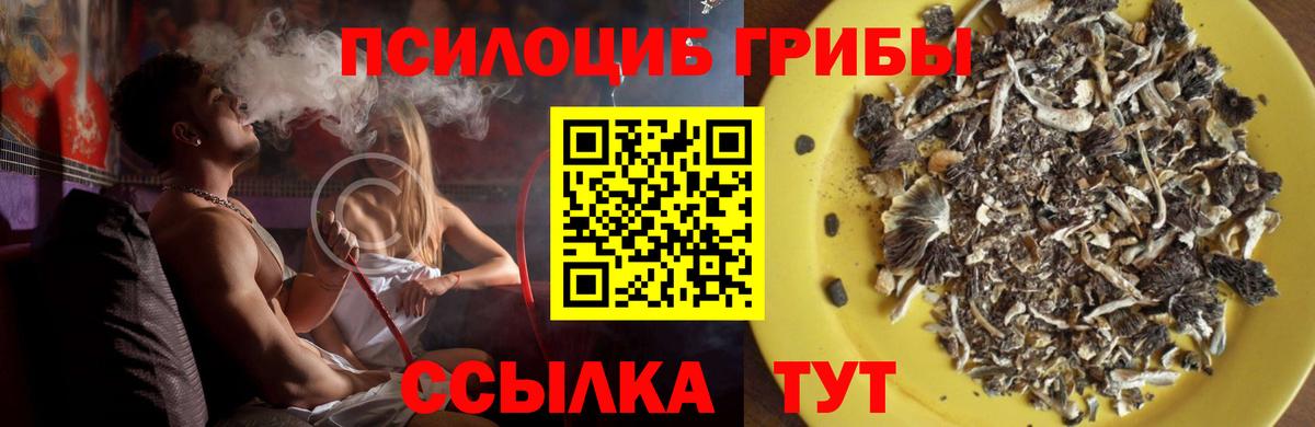 Кубинка  Галлюциногенные грибы Psilocybe  Вход с VPN 